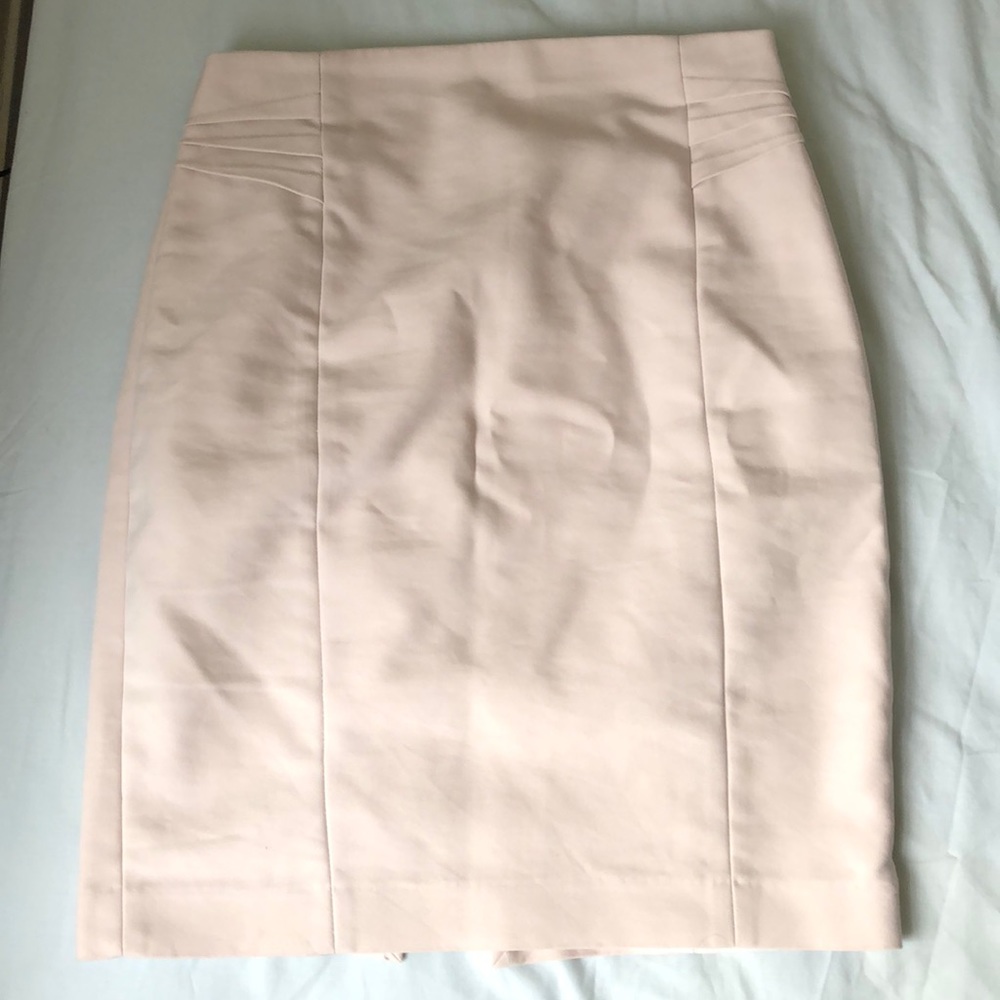 Classic Women's Pencil Skirt in Light Blush
